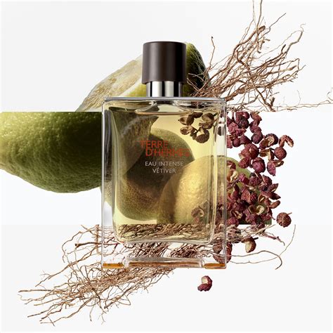 terre d hermes miglior profumo|Terre D'Hermes Eau Intense Vetiver di Hermès da uomo.